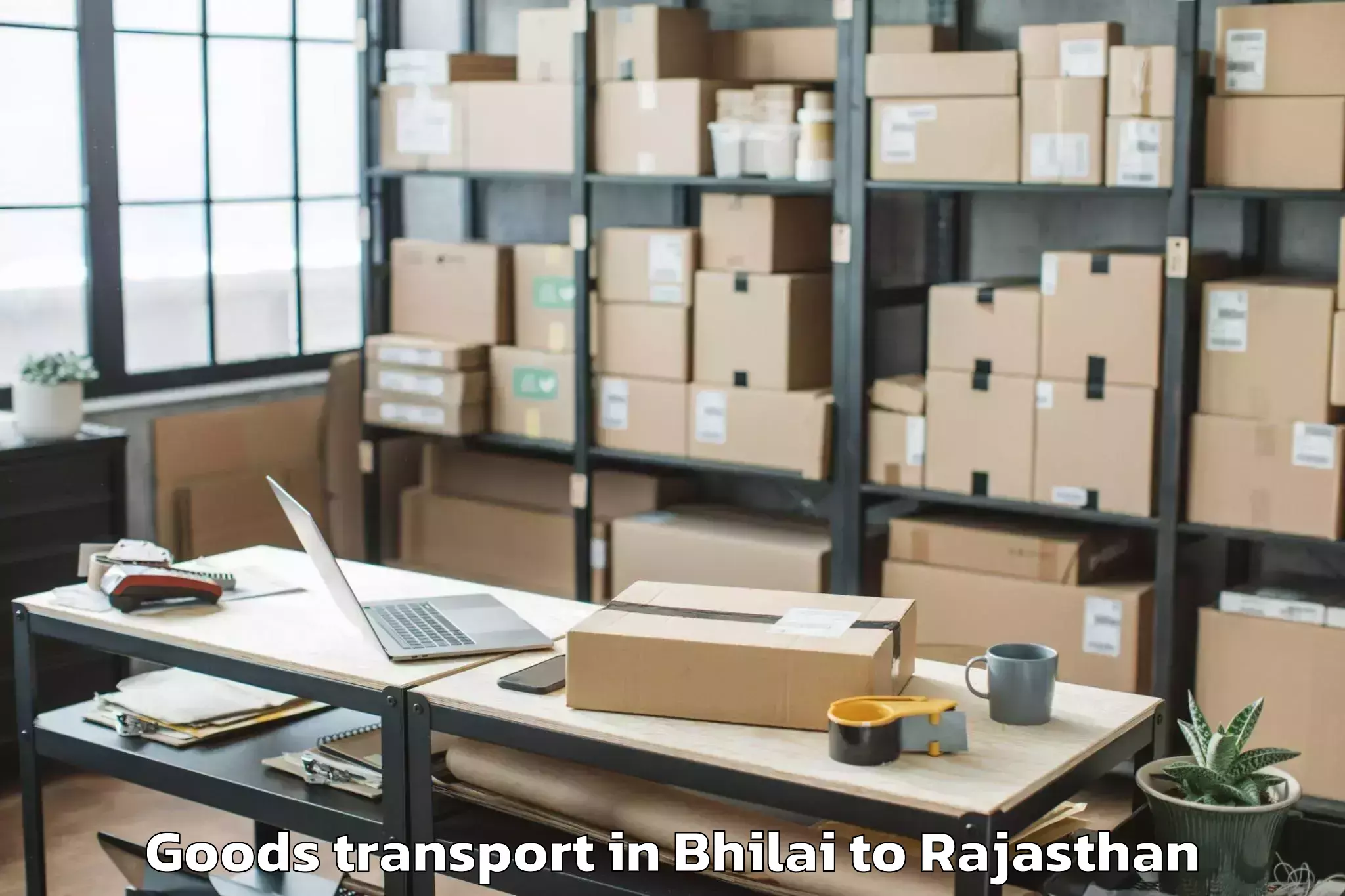 Reliable Bhilai to Nagaur Goods Transport